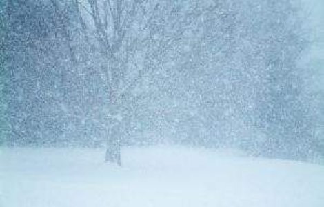 Avertizare: Weekend dominat de ninsori si viscol