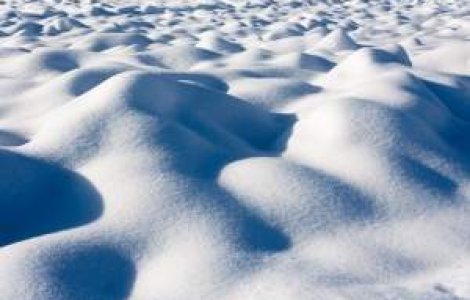 Afla cum va fi vremea in urmatoarele zile