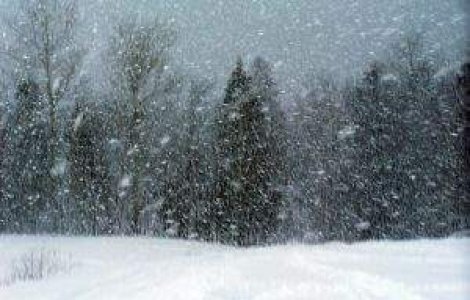 MS: S-au inregistrat 22 de decese provocate de ger