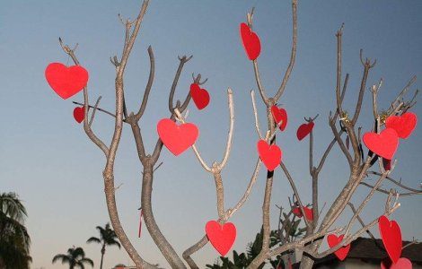  Top  Ce ni se pregateste de Valentine`s Day?