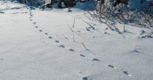 Vacanta se prelungeste: 2.667 de unitati de invatamant inchise