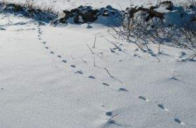 Vacanta se prelungeste: 2.667 de unitati de invatamant inchise