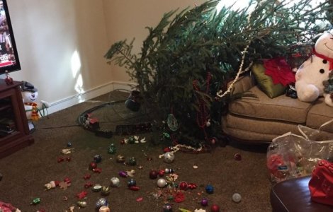  Top  10+ imagini care demonstreaza ca nu toti oamenii au avut parte de un Craciun tocmai linistit