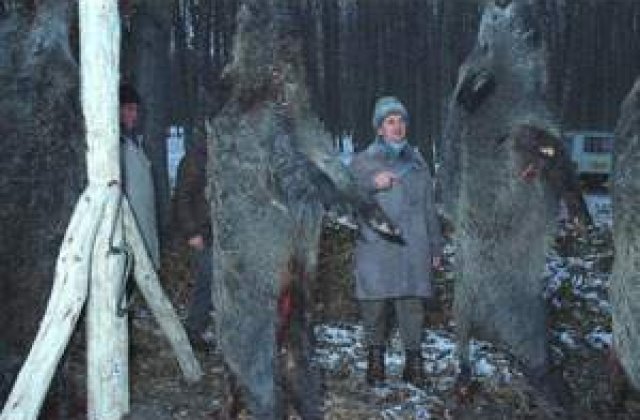 Restrictii la vanatoare, eliminate de senatori