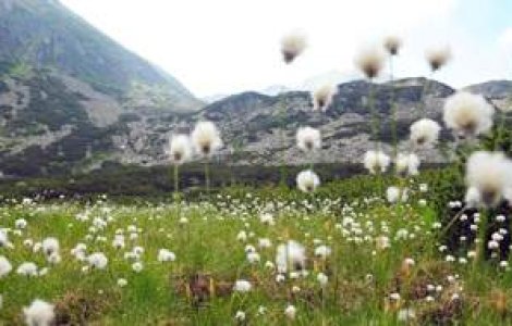 Parcul National Retezat ar putea fi inclus printre cele sapte minuni naturale ale lumii