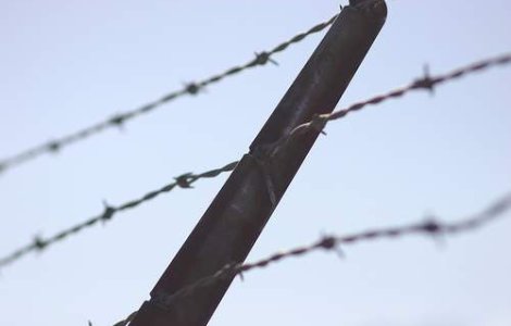 Sarma ghimpata, intre Grecia si Turcia