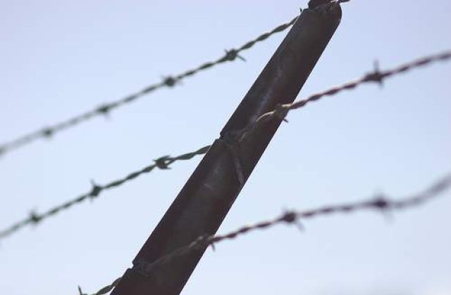 Sarma ghimpata, intre Grecia si Turcia