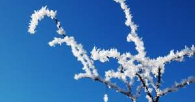 Valul de frig a provocat 41 de decese