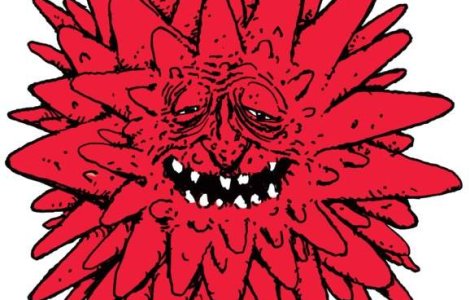 Tantari transmitatori de virusul West Nile, gasiti in Marea Britanie