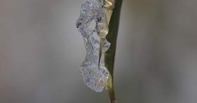 Starea vremii in weekend