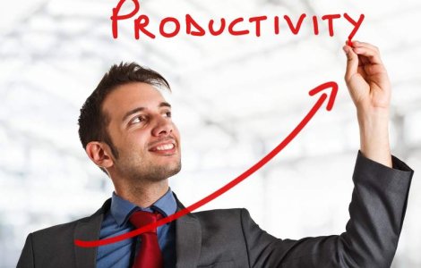 (P) Oportunitate de dezvoltare pentru antreprenori si manageri de IMM-uri