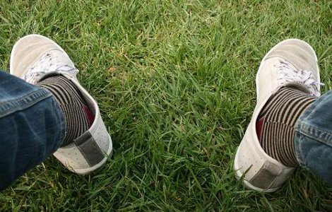 Sandu, Becali si Oprescu in inspectie pe National Arena