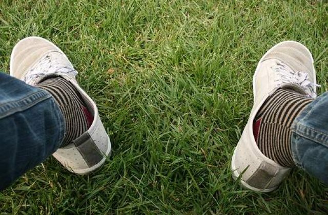 Sandu, Becali si Oprescu in inspectie pe National Arena