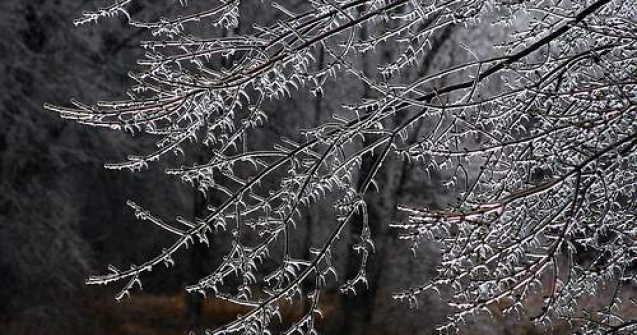 Bilantul mortilor din cauza gerului a ajuns la 57