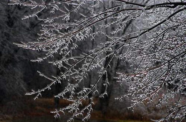 Bilantul mortilor din cauza gerului a ajuns la 57