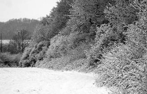 Seful CJ Vrancea solicita declararea starii de alerta