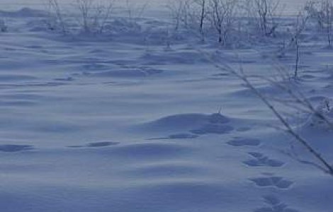 Starea drumurilor, in tara