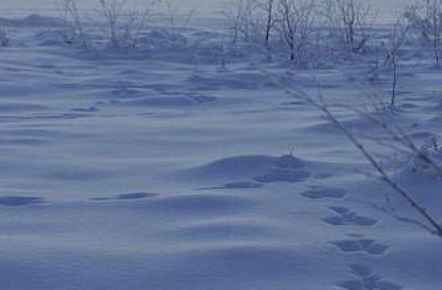 Starea drumurilor, in tara