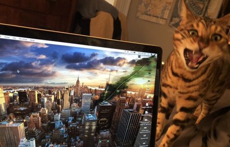  Top  Ce inseamna o zi proasta? 10+ imagini cu persoane care se pot considera cu adevarat ghinioniste