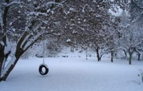 Elevii bucuresteni stau marti acasa