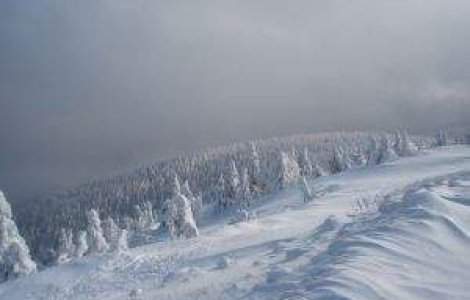 Bilantul valului de frig a ajuns la 74 de decese