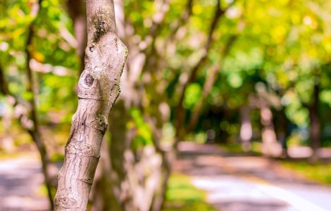 USR: Ministerul Mediului a semnat un protocol pentru distrugerea unui Parc National