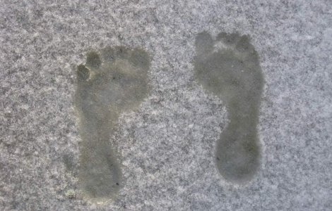 Cel mai "friguros" record mondial: Alergatul descult in zapada