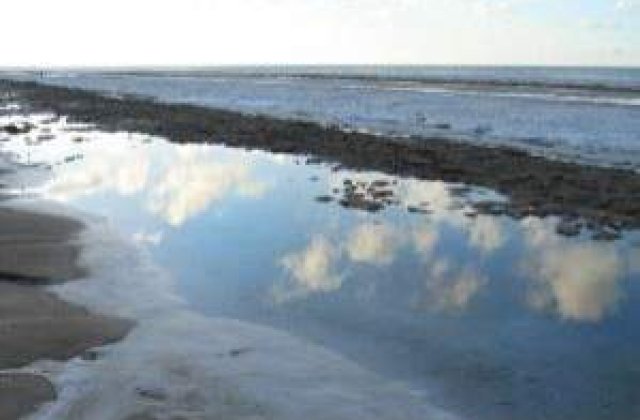 La mila zapezii: Autoritatile nu se sperie de inundatii, deocamdata