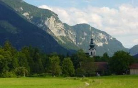 Austria cauta drujbisti romani