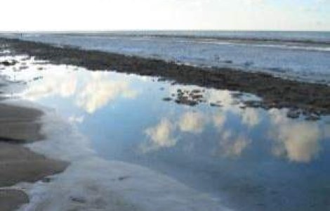 ANM: Nu se indeplinesc conditiile pentru inundatii