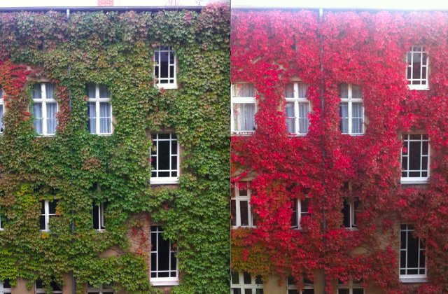 Ieri vs azi: 10+ imagini comparative care iti vor schimba total perpectiva asupra trecerii timpului