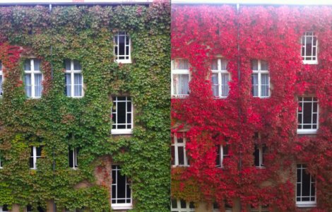  Top  Ieri vs azi: 10+ imagini comparative care iti vor schimba total perpectiva asupra trecerii timpului