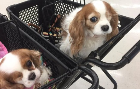  Top  Noroc sau o simpla coincidenta? 10 fotografii care demonstreaza ca lucruri fara explicatie se mai intampla