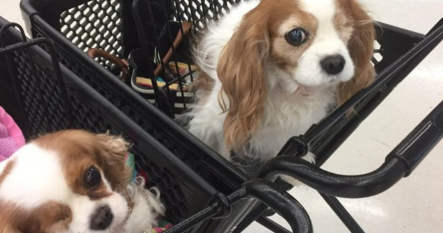  Top  Noroc sau o simpla coincidenta? 10 fotografii care demonstreaza ca lucruri fara explicatie se mai intampla