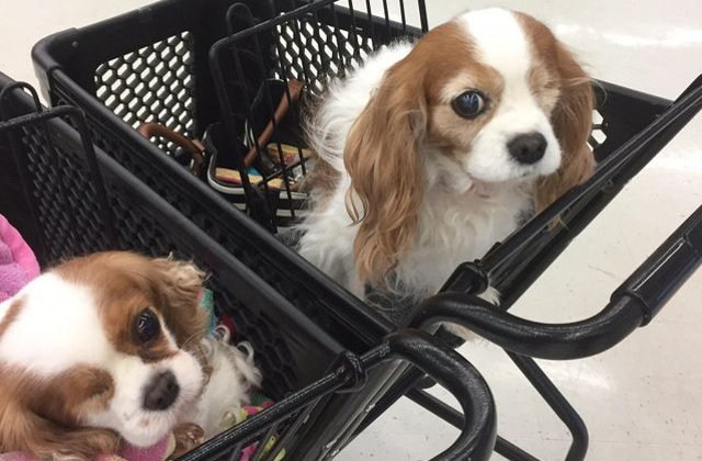 Noroc sau o simpla coincidenta? 10 fotografii care demonstreaza ca lucruri fara explicatie se mai intampla