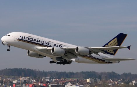 O pasare a provocat agitatie la bordul unui avion care opera pe ruta Singapore - Londra/ VIDEO