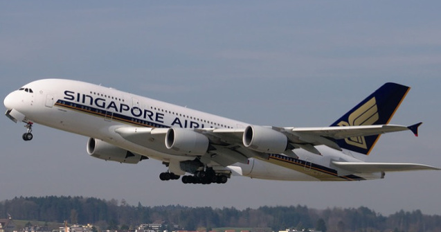 O pasare a provocat agitatie la bordul unui avion care opera pe ruta Singapore - Londra/ VIDEO