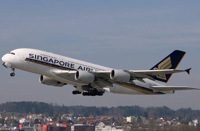 O pasare a provocat agitatie la bordul unui avion care opera pe ruta Singapore - Londra/ VIDEO