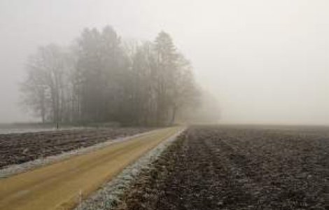 Avertizare de ceata pentru trei judete