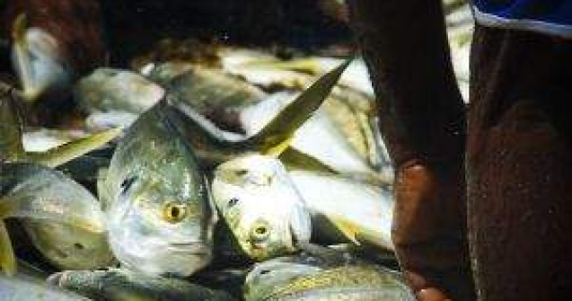 Braconierii turci isi fac de cap in apele romanesti