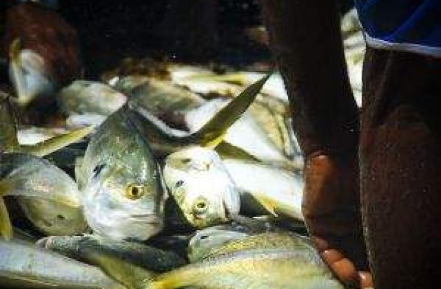 Braconierii turci isi fac de cap in apele romanesti