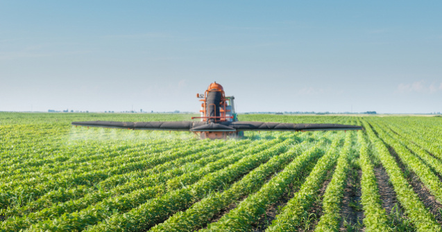 3 metode de protejare a culturilor agricole de atacul bolilor si al daunatorilor