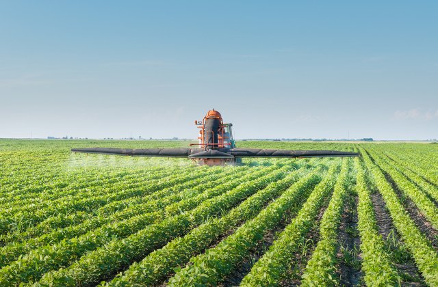 3 metode de protejare a culturilor agricole de atacul bolilor si al daunatorilor