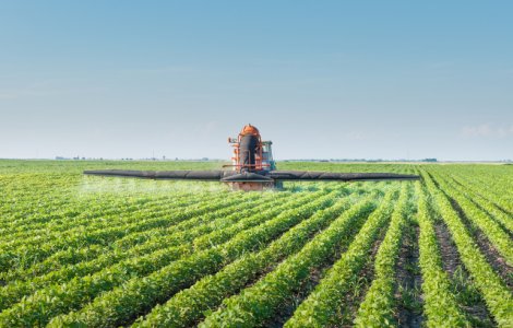 3 metode de protejare a culturilor agricole de atacul bolilor si al daunatorilor