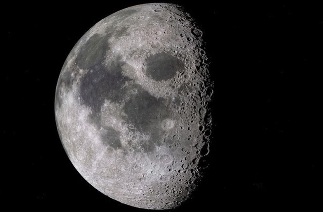 Planta incoltita in cadrul experimentului chinez pe fata ascunsa a Lunii a murit odata cu inceperea noptii selenare/ VIDEO