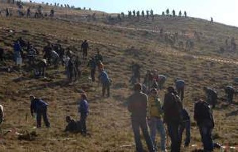 Tara, tara, 'Romania prinde radacini' vrea voluntari!