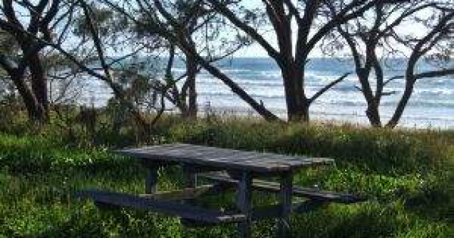 Legea picnicului a trecut de Camera Deputatilor