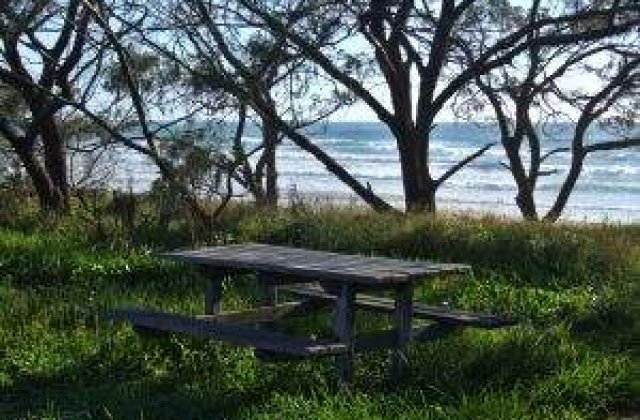 Legea picnicului a trecut de Camera Deputatilor