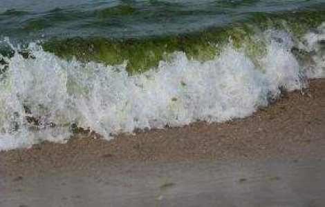 Stam langa o "mare" de gaze naturale: Petrom si Exxon au descoperit-o