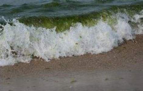 Stam langa o "mare" de gaze naturale: Petrom si Exxon au descoperit-o